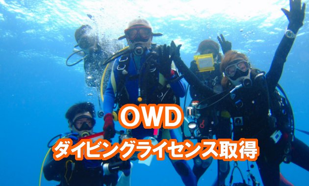 OWDライセンスコース案内