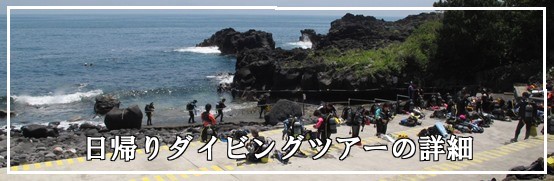 日帰りダイビングツアー