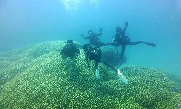 大仏サンゴをバックに記念写真 16.08.12