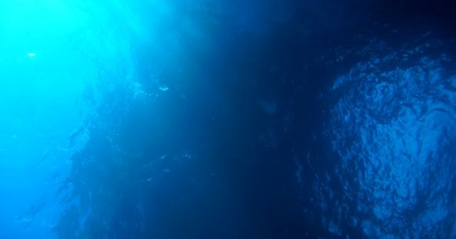 マグロ穴を下から 170910